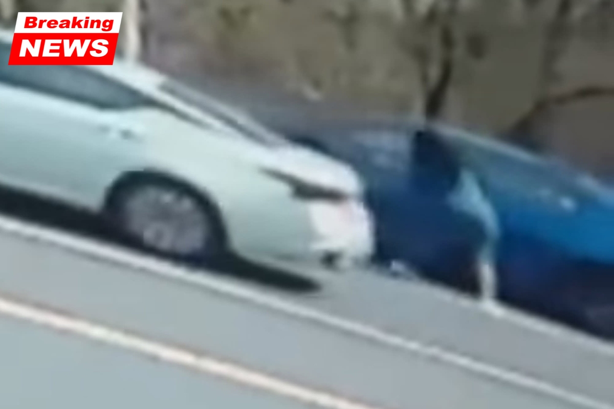 A crazy road rage cat fight is captured on camera, with witnesses pleading with the priest for "a blessing"