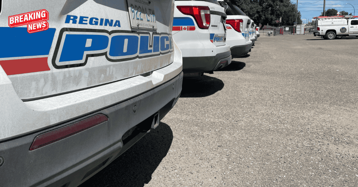 A single-vehicle collision on New Circle Road resulted in one injury