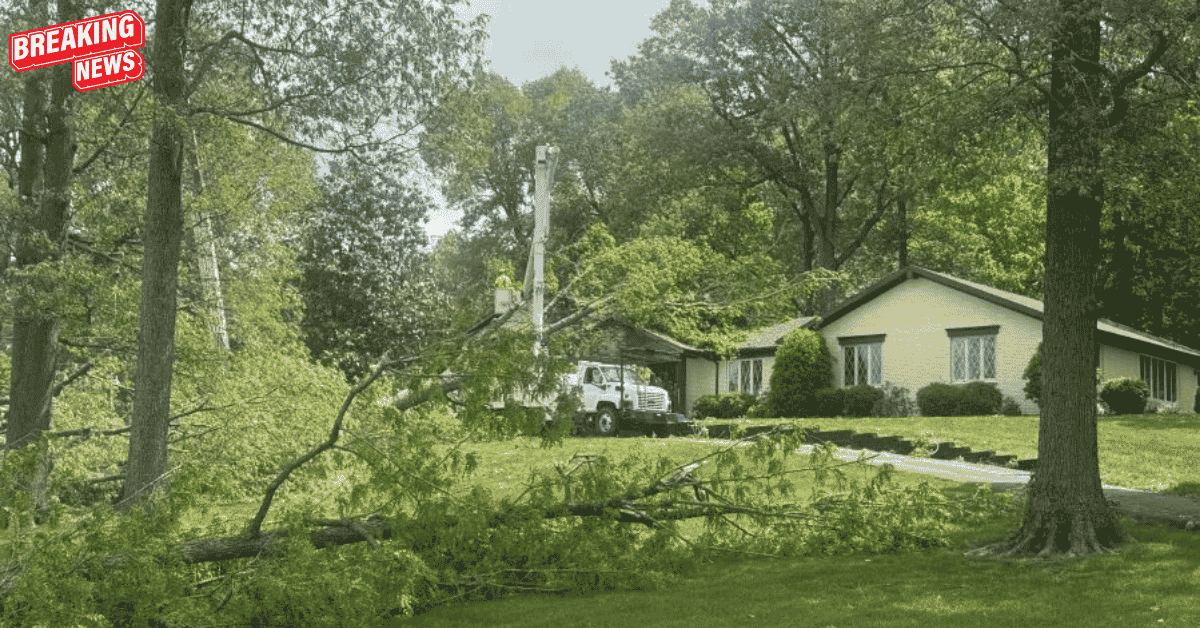 Homes in McLean County were damaged by fallen trees after an EF-1 tornado hit