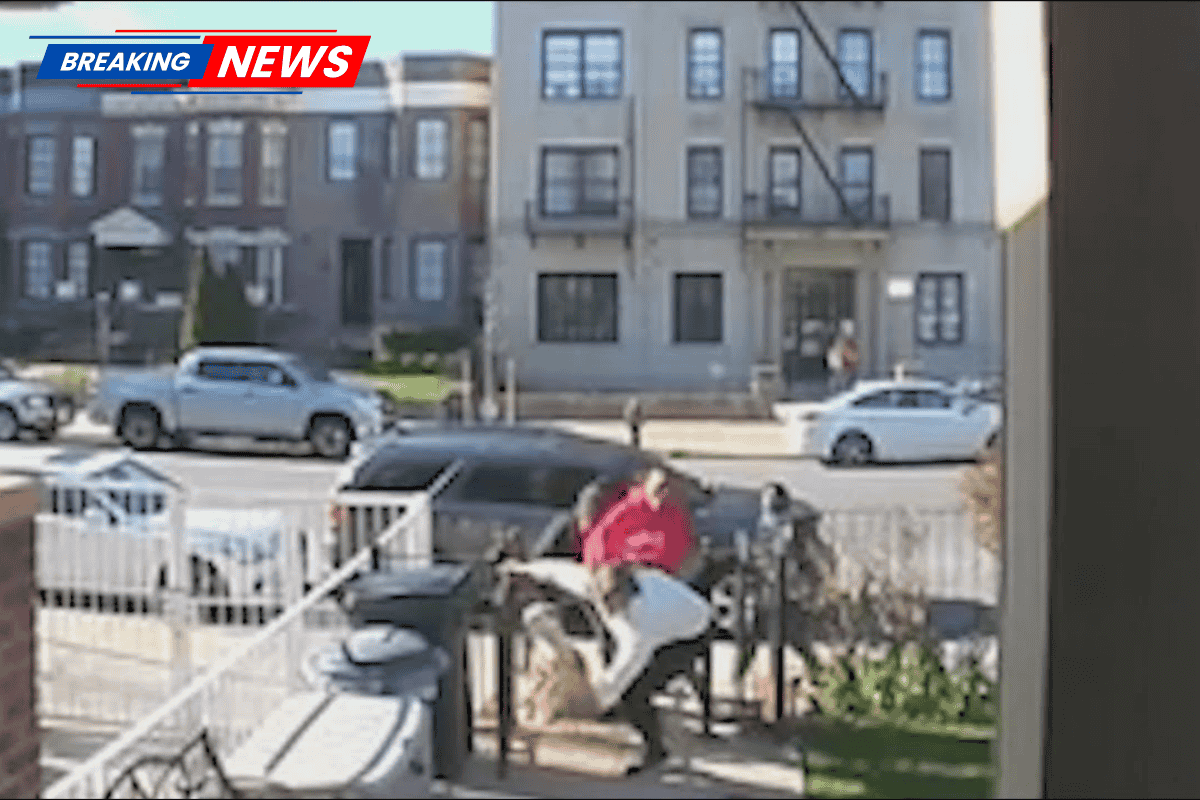 A dispute over dog feces in New York City has become violent